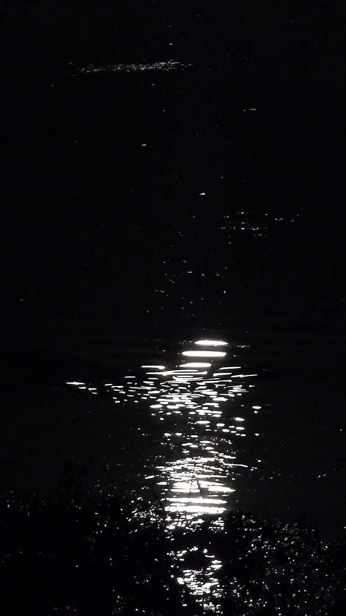 Visions de nuit